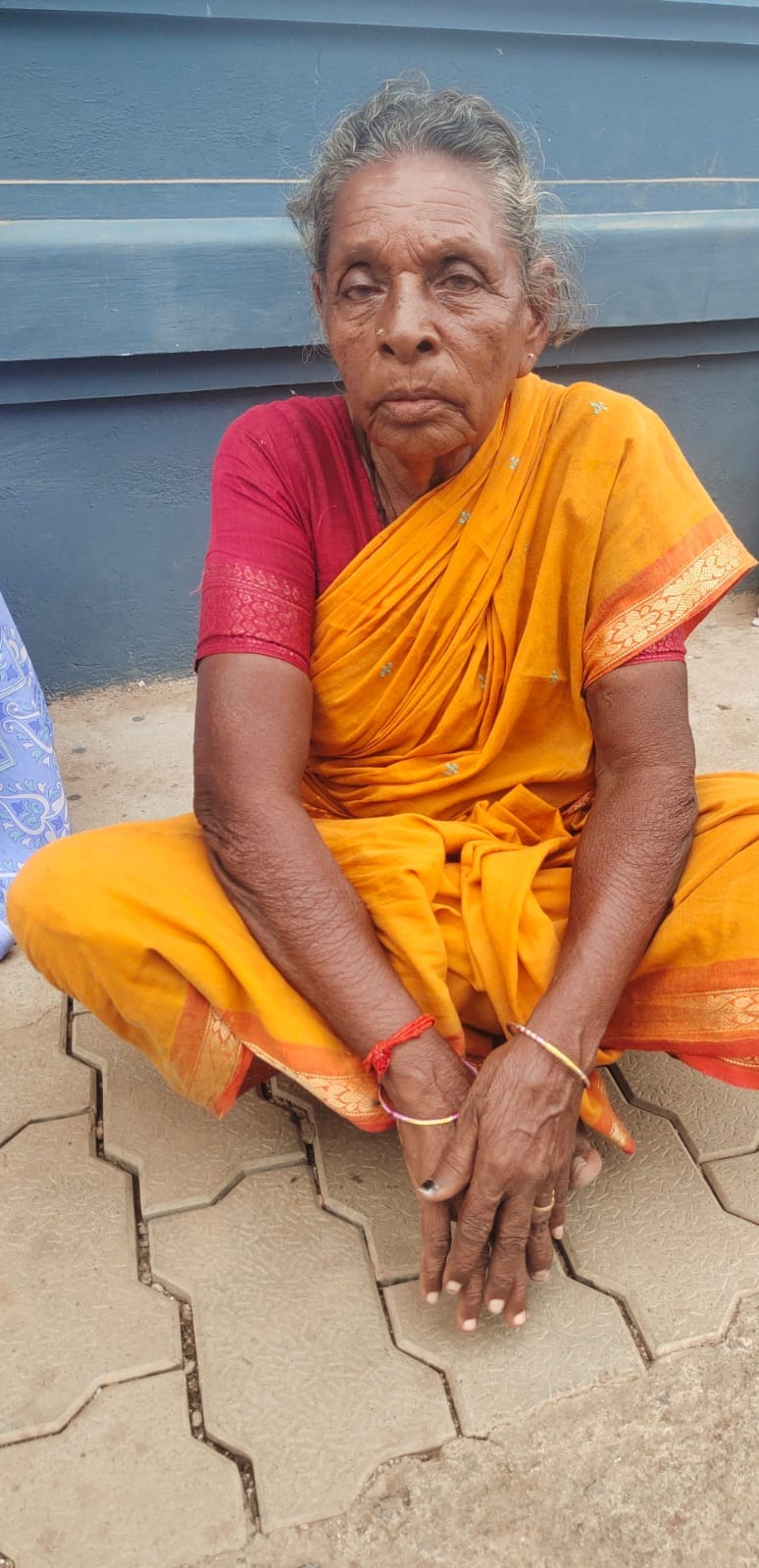 Close-up of Pattu paati before being brought to the shelter